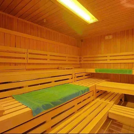 Braunlage-harz Schwimmbad-sauna, Wlan, Parkplatz Apartment Braunlage